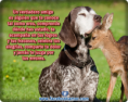 /album/fotogaleria/frases-de-amistad-verdadera-para-facebook-png/